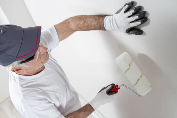 Environmental Consulting for Mold Prevention in Boonville, NC