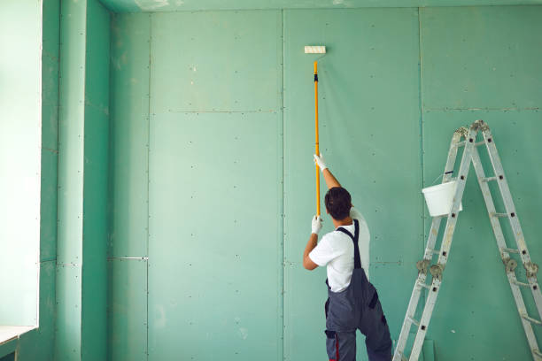 Best Attic Mold Removal  in Boonville, NC