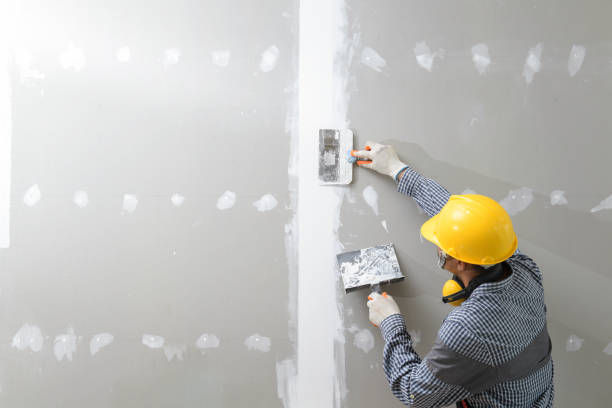 Forensic Mold Investigation in Boonville, NC