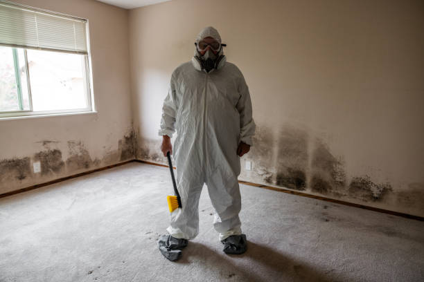 Professional Mold Removal in Boonville, NC